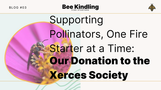 Supporting Pollinators, One Fire Starter at a Time: Our Donation to the Xerces Society