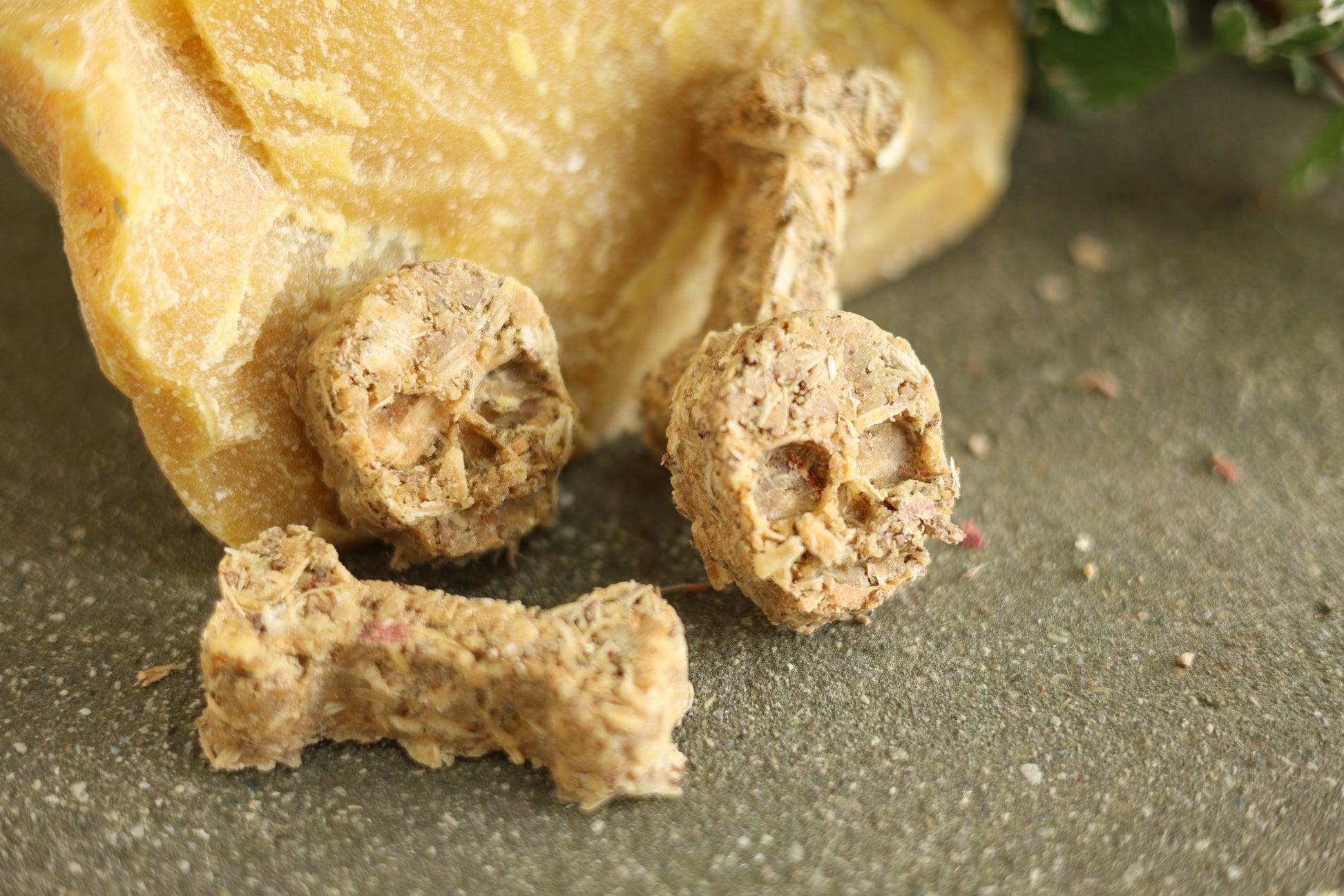 Close-up of pirate skull fire starter, crafted with sustainable beeswax and sawdust for a long-lasting burn