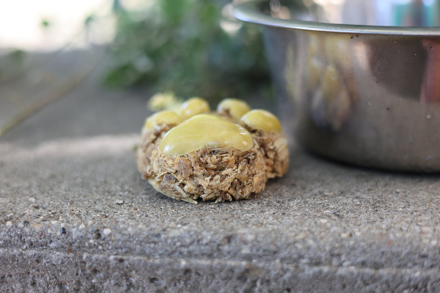 Close-up of eco-friendly paw print fire starter, featuring spent grain and pine shavings for a clean, chemical-free burn with the fresh scent of pine and beeswax.