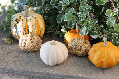 Eco-friendly pumpkin fire starter burning cleanly with a long-lasting flame, made from up-cycled and sustainable resources like beeswax and sawdust