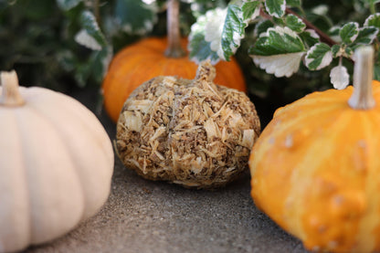 Fall pumpkin fire starter made from recycled pine shavings and spent grain, perfect for camping or home use, burning for up to 10 minutes