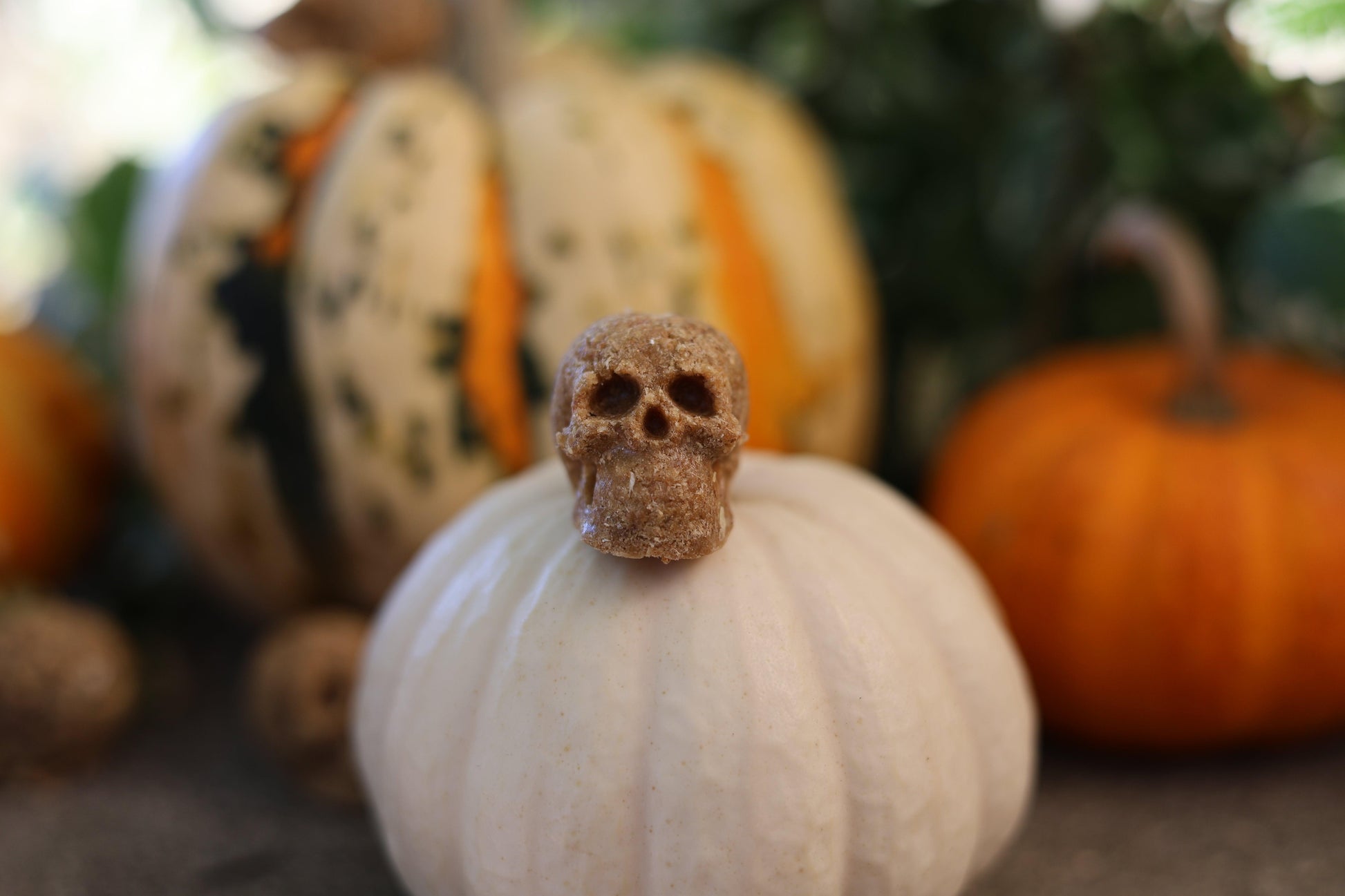 Close-up of mini human skull fire starter showing realistic 3D details, made from eco-friendly beeswax and sawdust