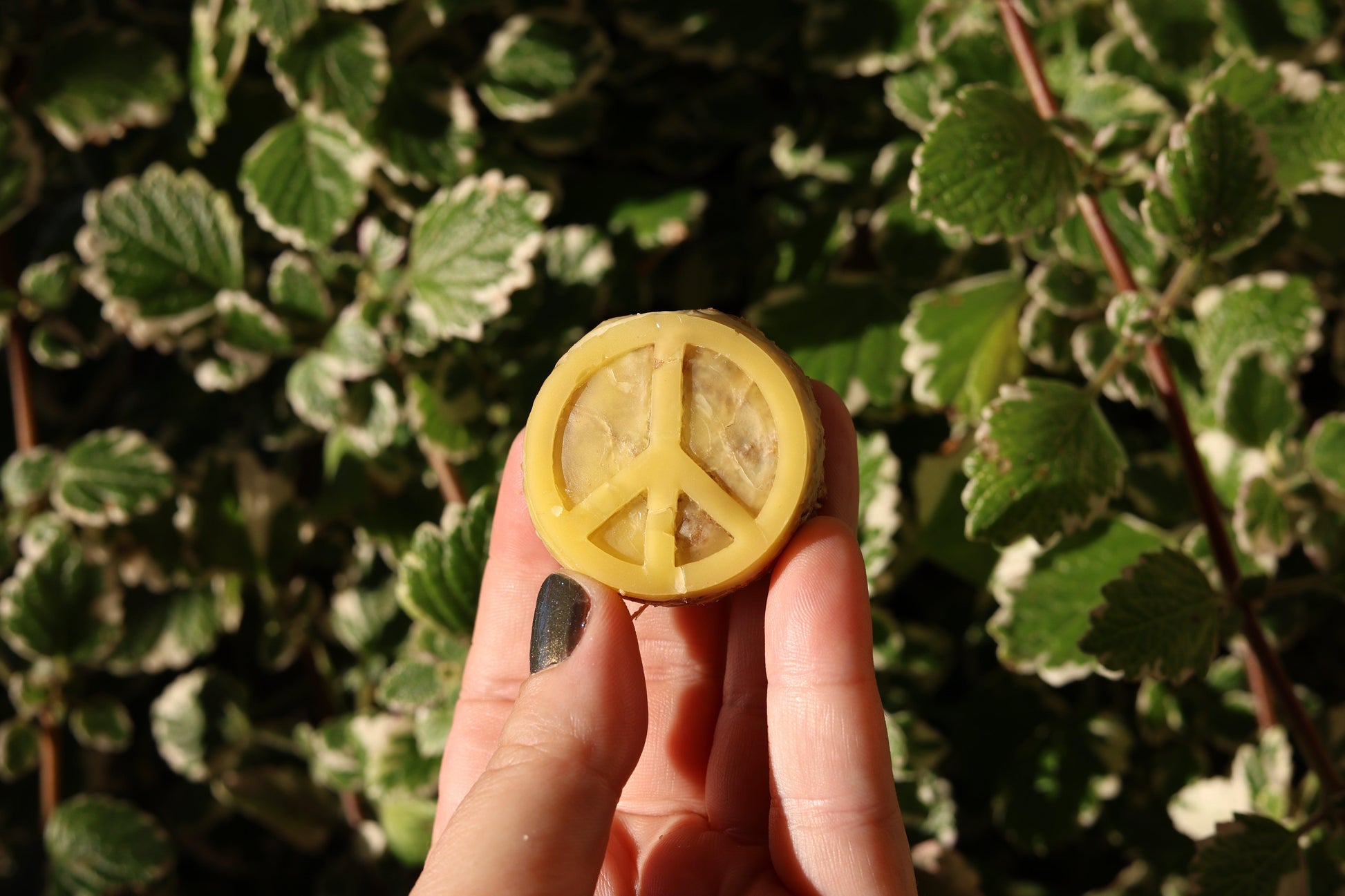 Natural peace sign fire starter with a blend of recycled materials like spent grain and pine shavings, perfect for campfires or fireplaces, wood-burning stoves, and sauna stoves inside or outside.