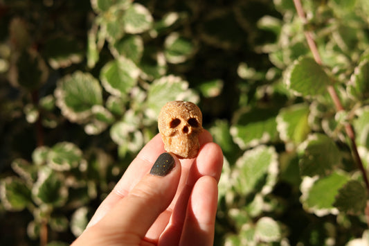 Mini human skull fire starter made from beeswax and sawdust, perfect for Halloween and eco-friendly fires