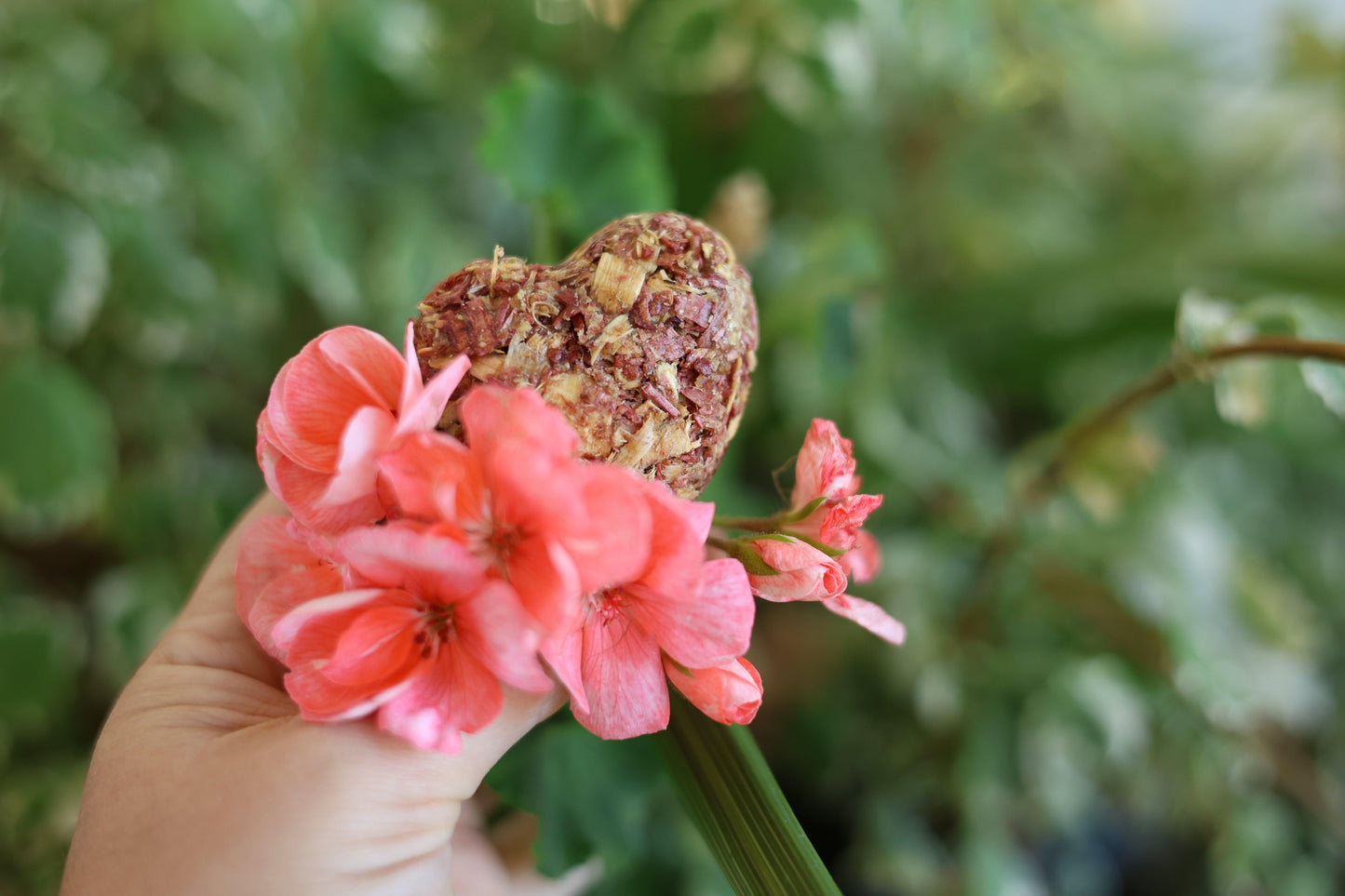 Small heart-shaped eco-friendly fire starter with a red hue from cedar, perfect for quick, sustainable fires